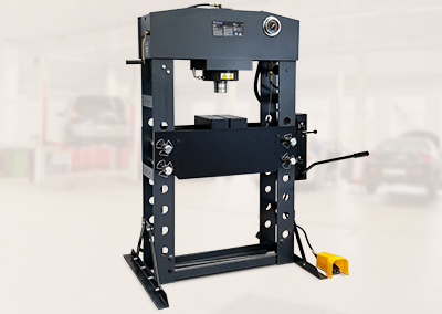 Werkstattpresse WZ-WP100